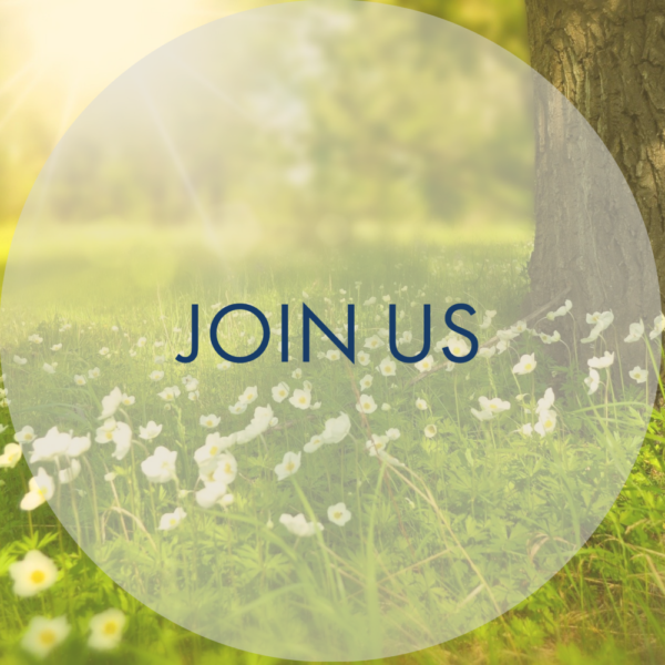 Sunlit meadow with white flowers and a tree trunk on the right. The words JOIN US and 2023 Summer Events appear in blue text centered within a translucent circle overlay.