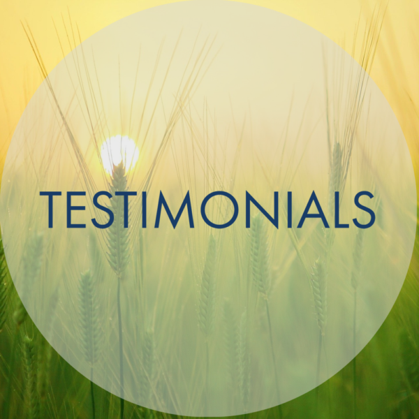 Green wheat field at sunrise with sunlight shining through the stalks and the words TESTIMONIALS in bold blue letters across the center inside a translucent circle, highlighting Summer Events 2023.