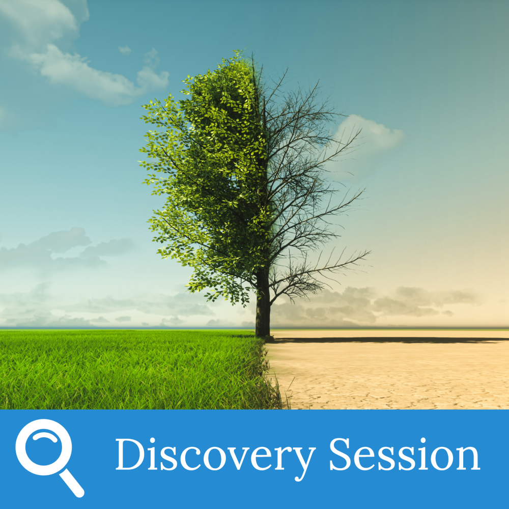 A tree stands in the middle, half covered in green leaves over lush grass and half bare over dry, cracked earth, symbolizing Liberation from old Habits of Work. Below, a blue banner reads Discovery Session with a magnifying glass icon on the left.