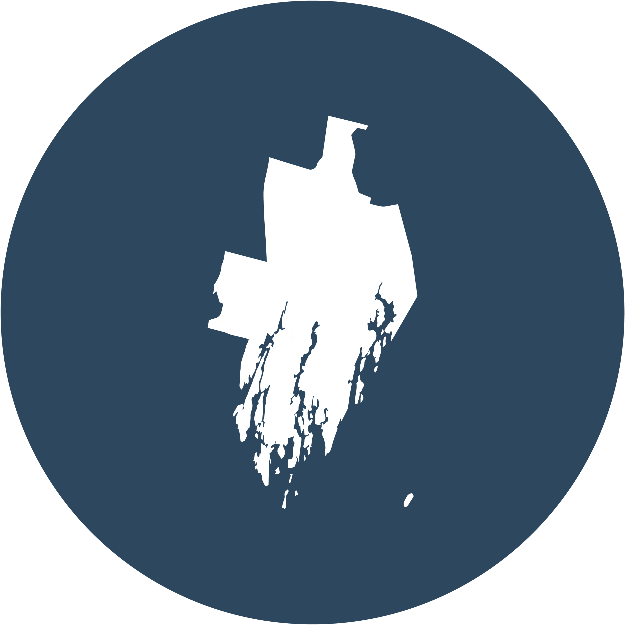 Lincoln County Fellow