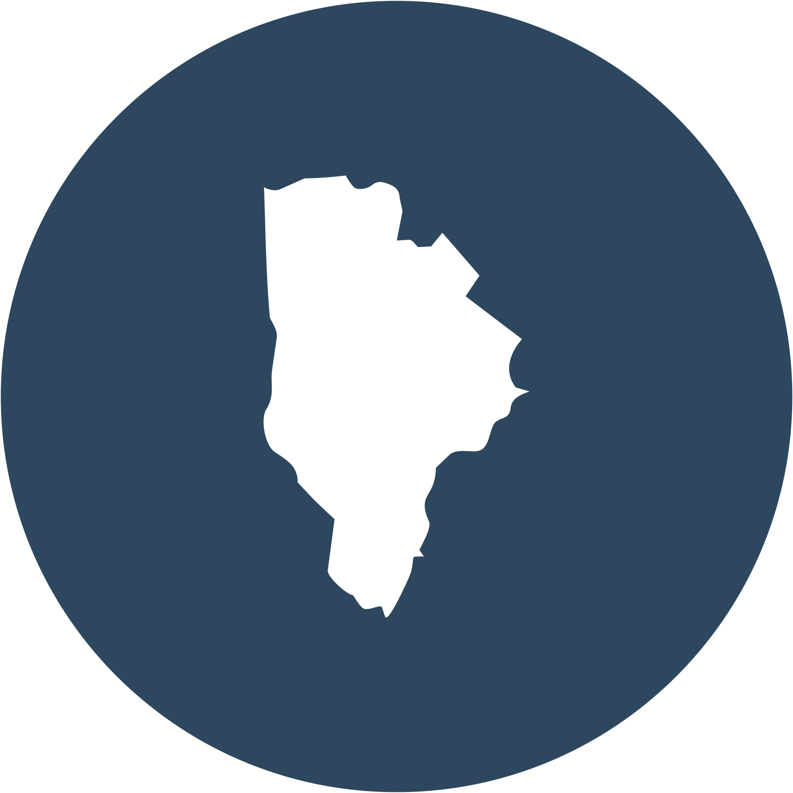 A navy circle with a white silhouette of York County Maine.