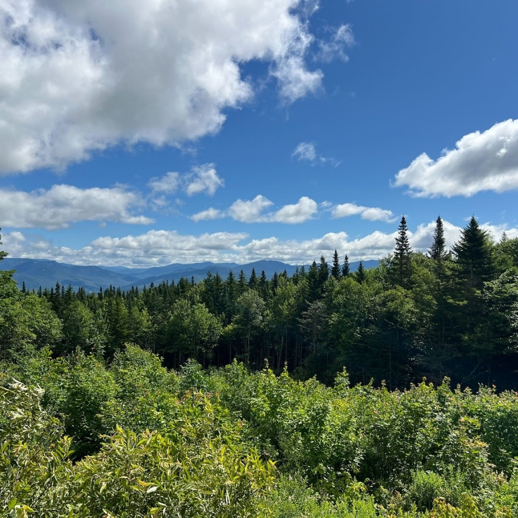 Dense green forest under a bright blue sky with scattered white clouds, distant mountains on the horizon, and sunlight highlighting treetops—an inspiring setting for outdoor learning beyond the traditional classroom.