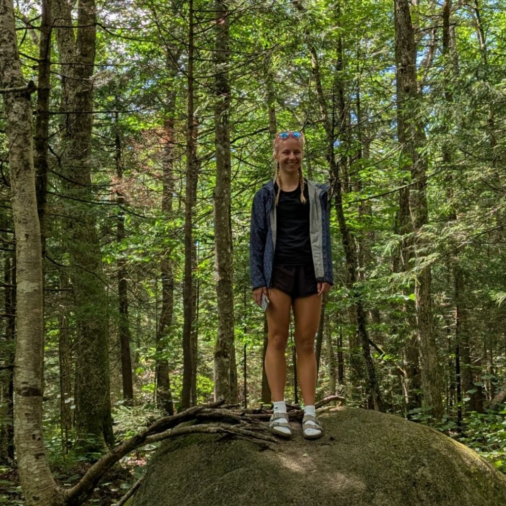 A person with long blonde hair stands on a large rock in a sunlit forest, embracing outdoor learning. Wearing a blue jacket, black shorts, and white sneakers, they are surrounded by tall green trees and leafy branches.